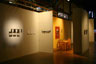Fling exhibition photo
